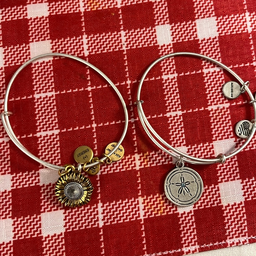 Alex and ani